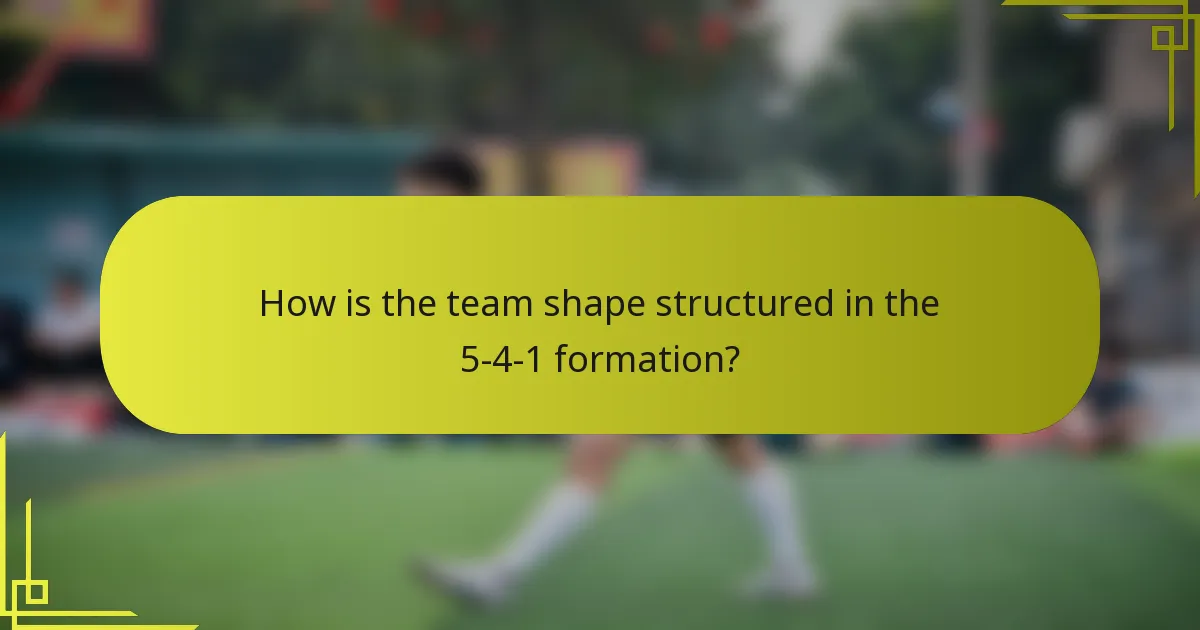 How is the team shape structured in the 5-4-1 formation?