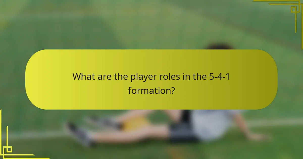 What are the player roles in the 5-4-1 formation?